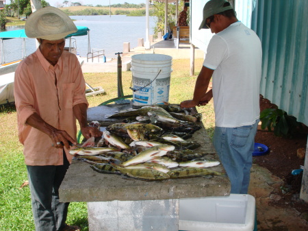 Clean/fillet for $0.10 ea