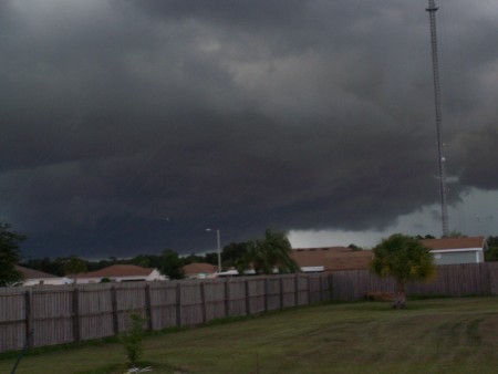 Tampa Summer Storm