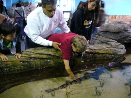 Aquarium with Kids