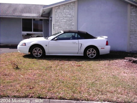 Deborah Floppy Canals and Car-22