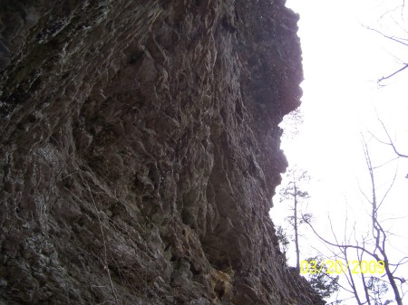 arkansas horseback trip 03-15-09 125