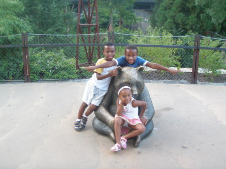 The Kids at the Zoo
