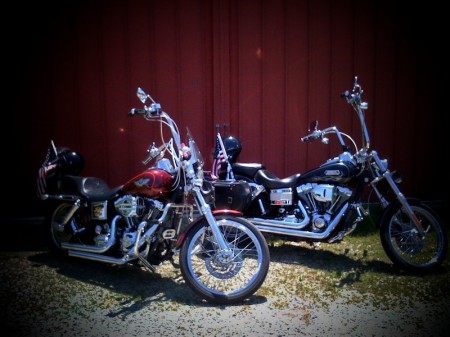 Cathy and Don's Harleys