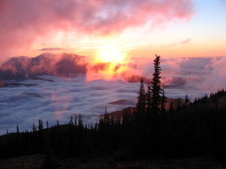 a little magic on the Olympic Peninsula