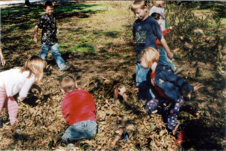 Garys Pecan Orchard 2008