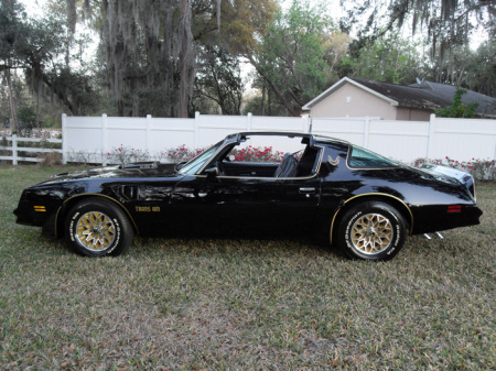 Trans Am 02