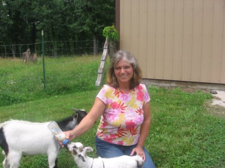 Carol feeding one of the babies