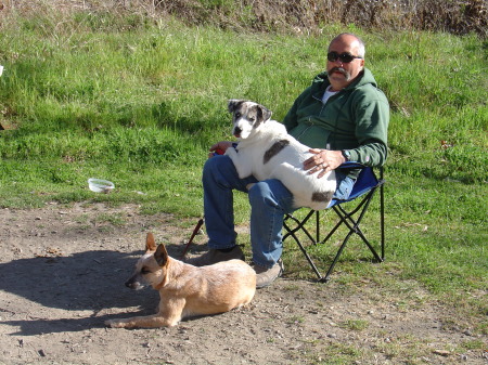 Steve w/dogs