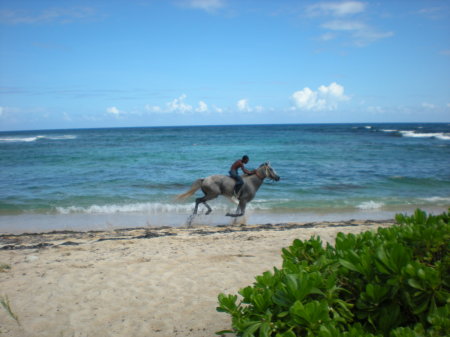 virgin islands