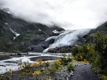 Exit Glacier- Alaska