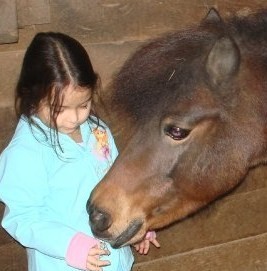 Gentle pony and gentle Bella