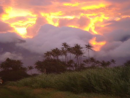 Hawaii sunset, January 2008