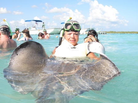 Snorkeling with 6he Stingray