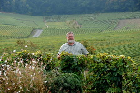 At home in the Champagne country - Norther fra