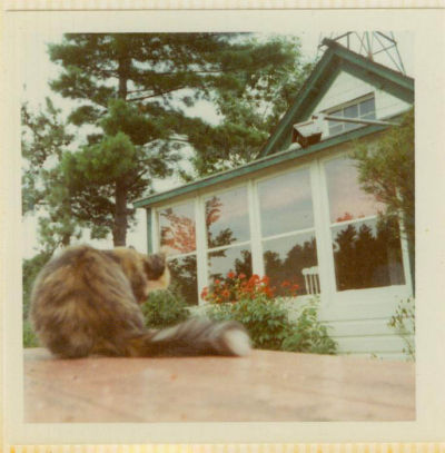 Another Island Photo, the porch where I slept.