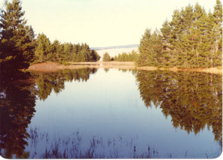 Tahkenitch Lake