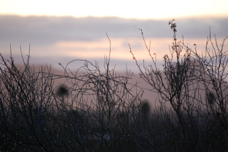 Tucson morning