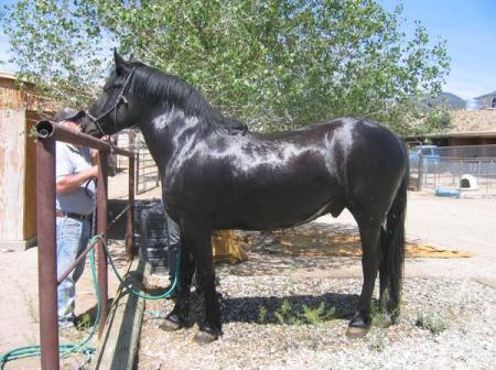 DAKOTA AFTER HIS BATH