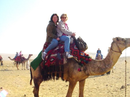 Riding a camel