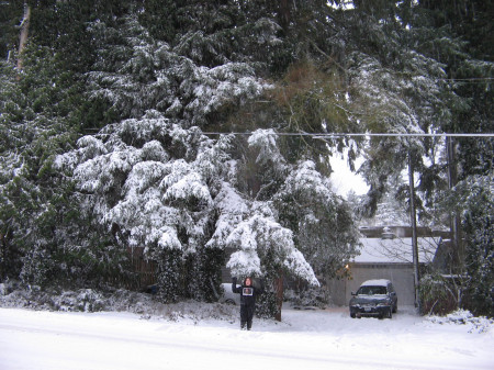 Seattle Snow