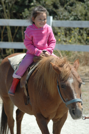 2005 Whoa My Little Pony!