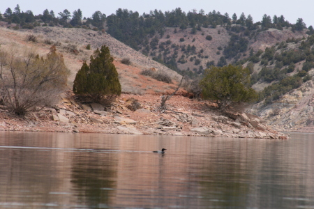 What a great place to fish and have lunch