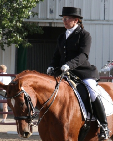Horseshow 2009