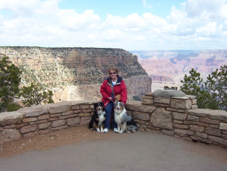 Vacationing at the Grand Canyon-Amazing place!