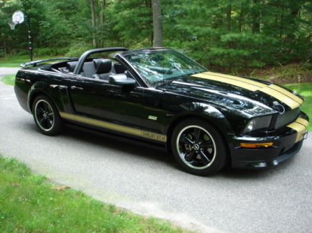 2007 Shelby GTH Convertible Photo 19