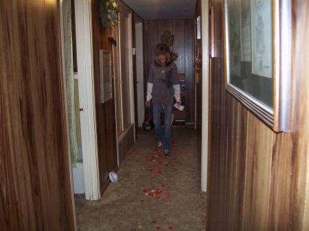 My Rose Petal Walkway