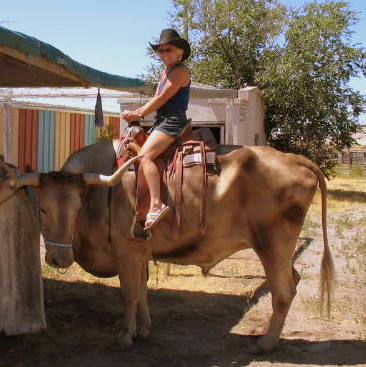 Sturgis 2006