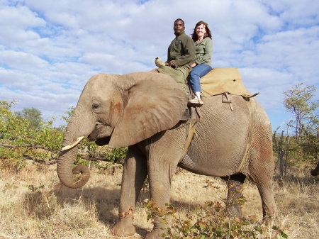 Elephant-back safari - Zimbabwe - 2007
