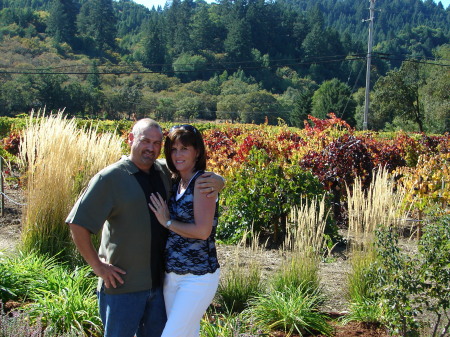 In Sonoma Wine Country