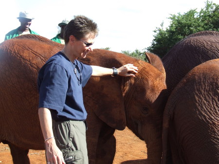 me and a baby Elephant in africa