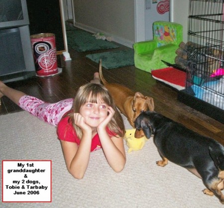 My 1st Granddaughter & my 2 dogs 2006