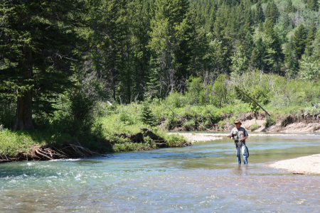 Northern Montana