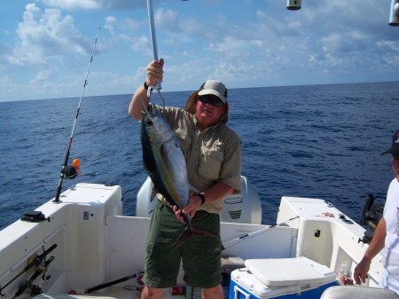 Black fin tuna