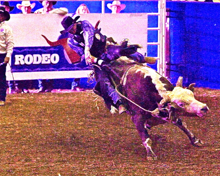 More Rodeo from Austin