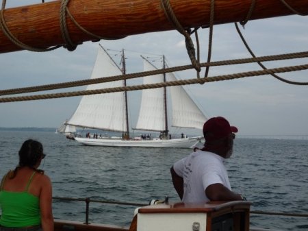 Schooner Race, 2008