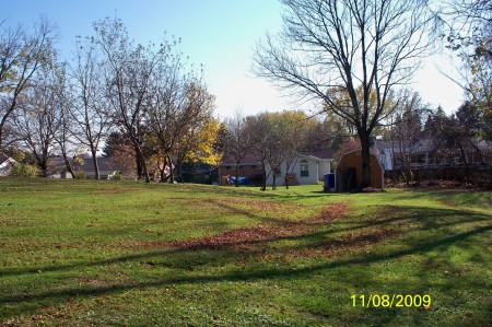 Our Back Property, Yard and House