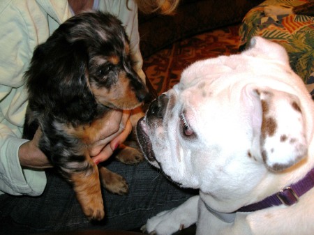 Jager and Gracie kissing!