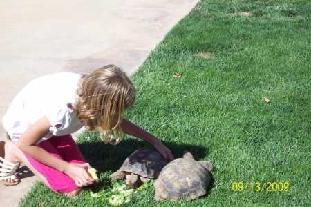 Kenna and her Turtles