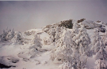 Summit of Mt. Adams, NH, February 1997