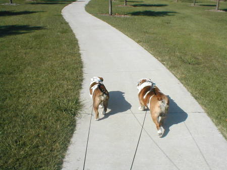 A day at the park.