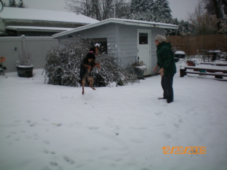 Playing inthe dec 08 snow with Snoop