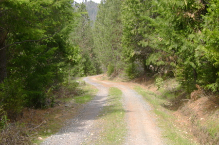 The road up to the farm