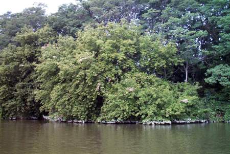 Canoeing