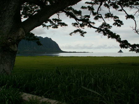 Oahu June 09