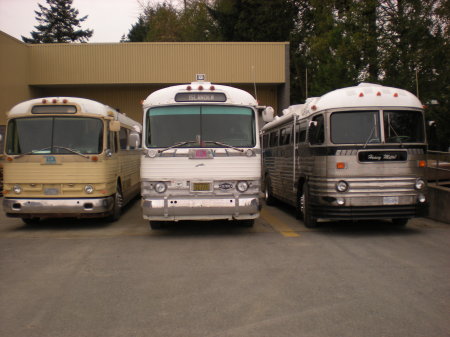 gaggle of buses in Nanaimo