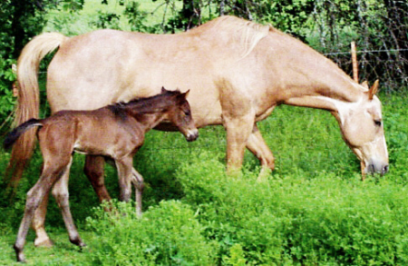 Mama and the kid